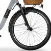 MBM Elektro-Citybike RHEA 26 Zoll, grey