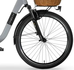 MBM Elektro-Citybike RHEA 26 Zoll, grey