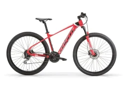 MBM Mountainbike 29 Zoll QUARX