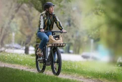 MS Energy Urban und City E-Bike CITYZEN c102