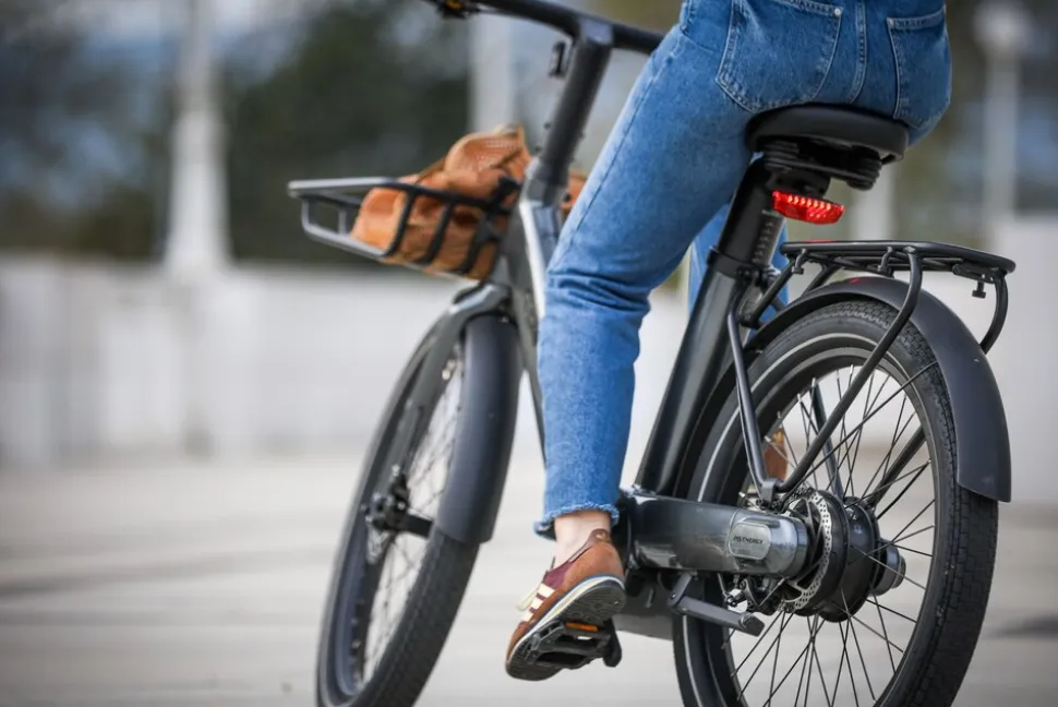 MS Energy Urban und City E-Bike CITYZEN c102