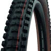MTB- Fahrradreifen BIG BETTY - ADDIX Soft Evolution Line 29x2.4"62-622