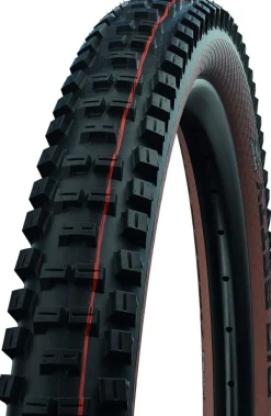 MTB- Fahrradreifen BIG BETTY - ADDIX Soft Evolution Line 29x2.4"62-622