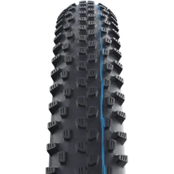 MTB-Fahrradreifen RACING RAY - ADDIX Speed Evolution Line 29x2.10" 54-622