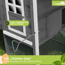 MyAnimal Hühnerstall für 4 Hühner MH-04 mit Eiablage, wasserabweisendes Dach, schutzimprägniert (Grau)