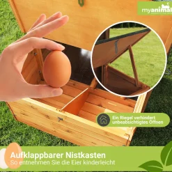 MyAnimal Hühnerstall für 4 Hühner MH-04 mit Eiablage, wasserabweisendes Dach, schutzimprägniert (Grau)