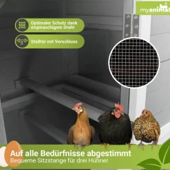 MyAnimal Hühnerstall für 3 Hühner MH-21 mit Eiablage, Dach wasserabweisend, verzinkter Draht
