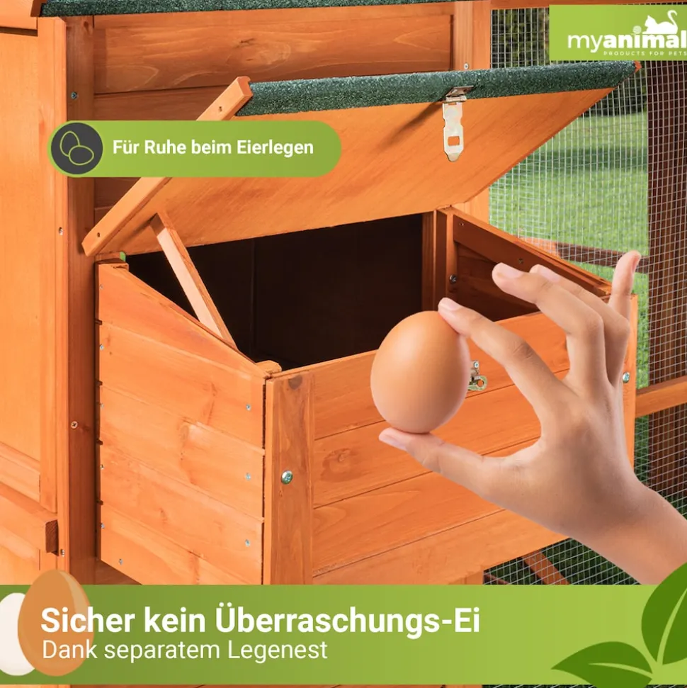 MyAnimal Hühnerstall groß für 7 Hühner MH-15, Hühnerhaus auf 2 qm², mit Auslauf, separates Legenest (Braun)