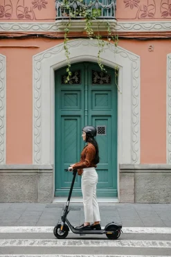 Ninebot by Segway KickScooter F2D mit dt. Straßenzulassung schwarz E-Scooter