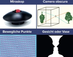 Optische Illusionen und Experiemente