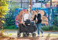 PINOLINO Sitz für Klappbollerwagen Cruiser – anthrazit