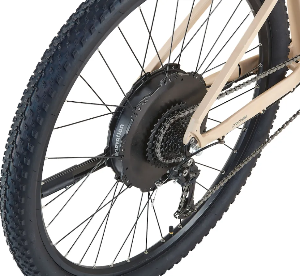 Prophete Dice 2.0 E-MTB E-Bike 29"