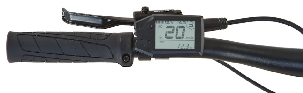 Prophete Dice 2.0 E-MTB E-Bike 29"