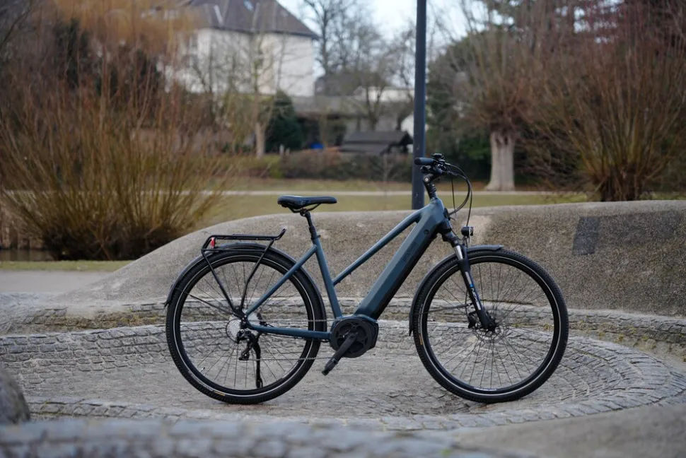 Prophete E-Bike Entdecker 4.8 RH50