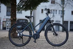 Prophete E-Bike Entdecker 4.8 RH50