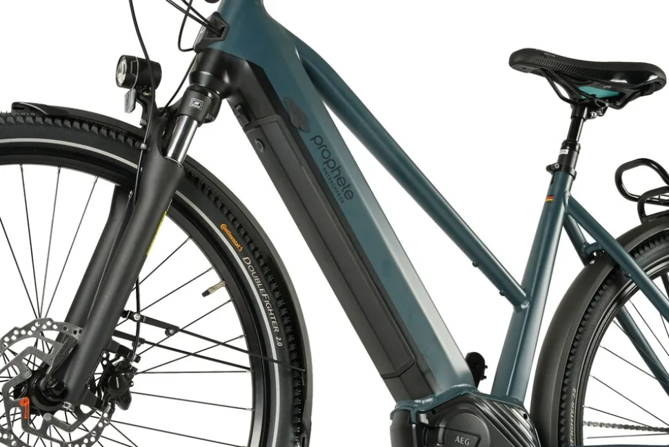 Prophete E-Bike Entdecker 4.8 RH50