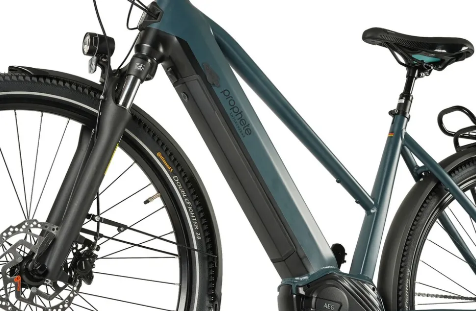 Prophete E-Bike Entdecker 4.8 RH50