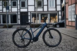 Prophete E-Bike Entdecker 4.8 RH50