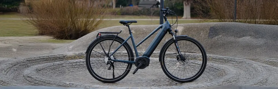 Prophete E-Bike Entdecker 4.8 RH50
