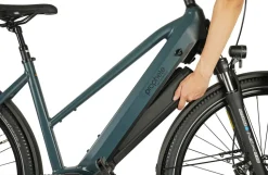 Prophete E-Bike Entdecker 4.8 RH50