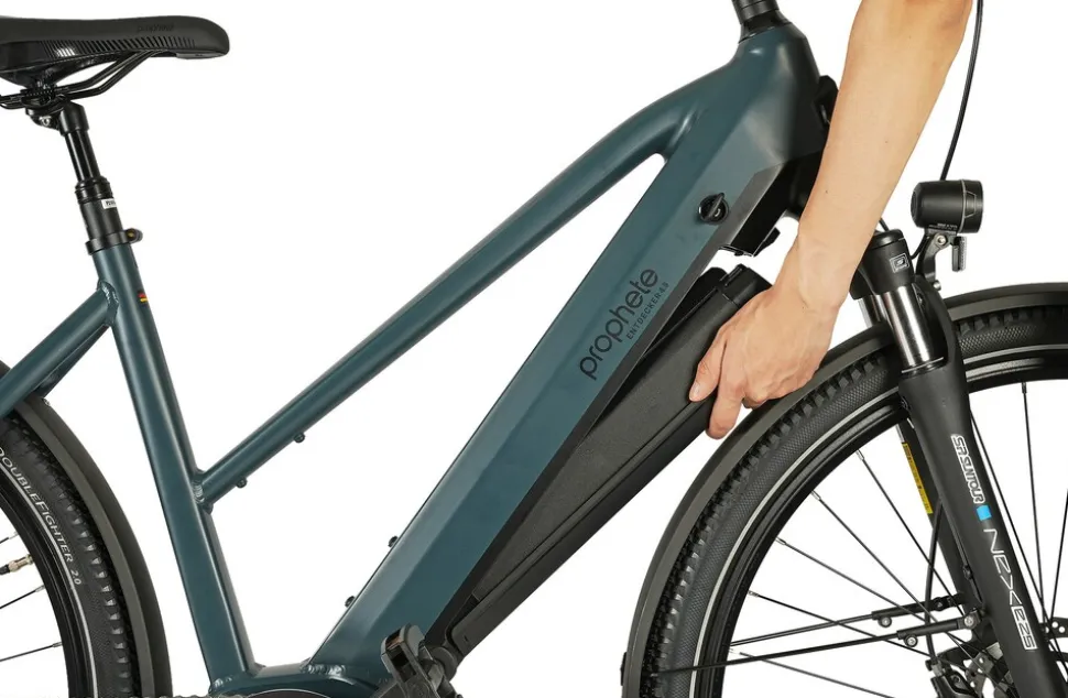 Prophete E-Bike Entdecker 4.8 RH50