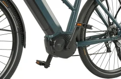 Prophete E-Bike Entdecker 4.8 RH50