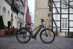 Prophete E-Bike Entdecker 4.8 RH50