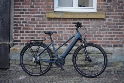 Prophete E-Bike Entdecker 4.8 RH50