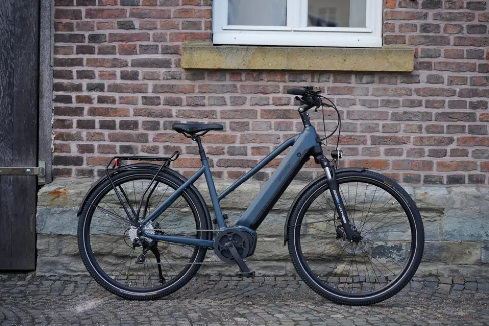 Prophete E-Bike Entdecker 4.8 RH50