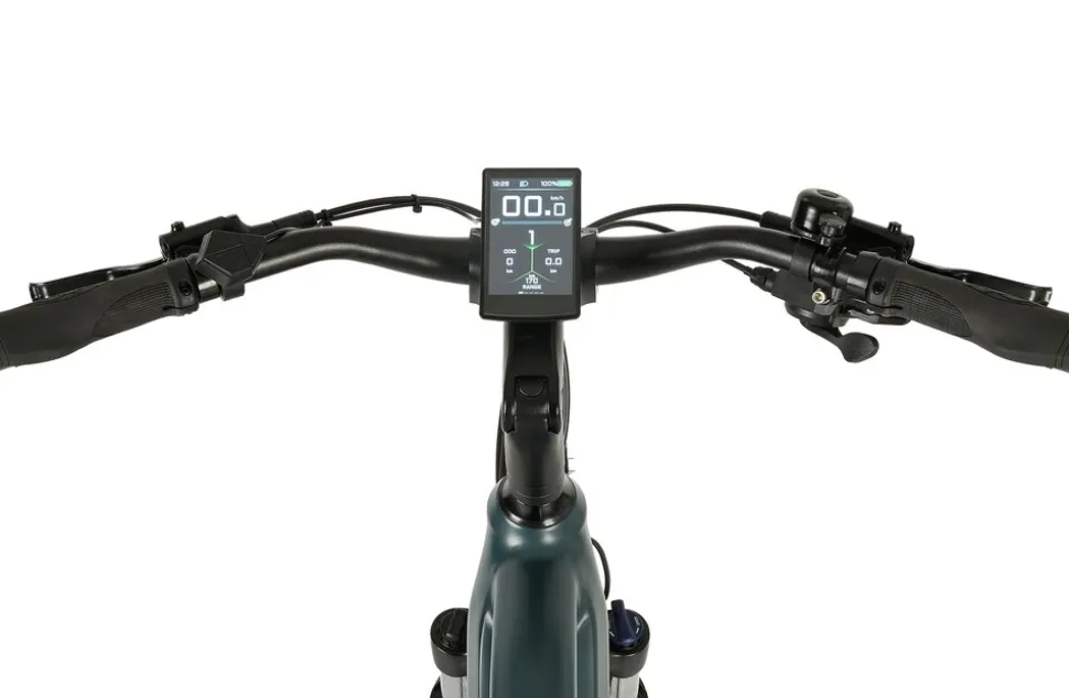 Prophete E-Bike Entdecker 4.8 RH50
