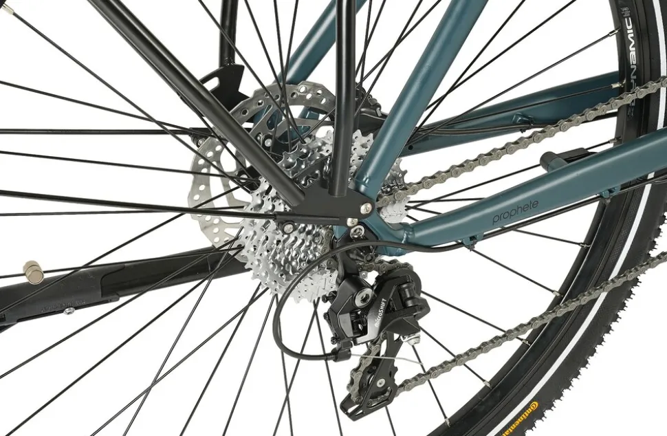 Prophete E-Bike Entdecker 4.8 RH50
