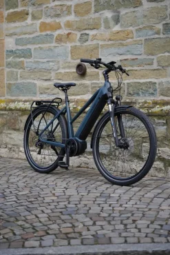 Prophete E-Bike Entdecker 4.8 RH50