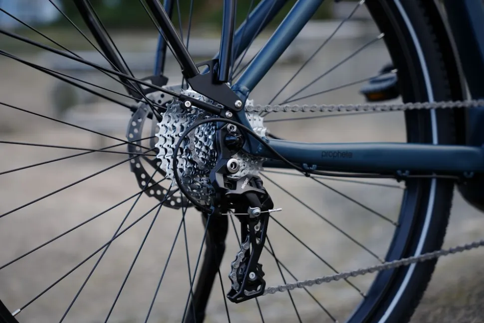 Prophete E-Bike Entdecker 4.8 RH50