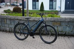 Prophete E-Bike Entdecker 4.8 RH50