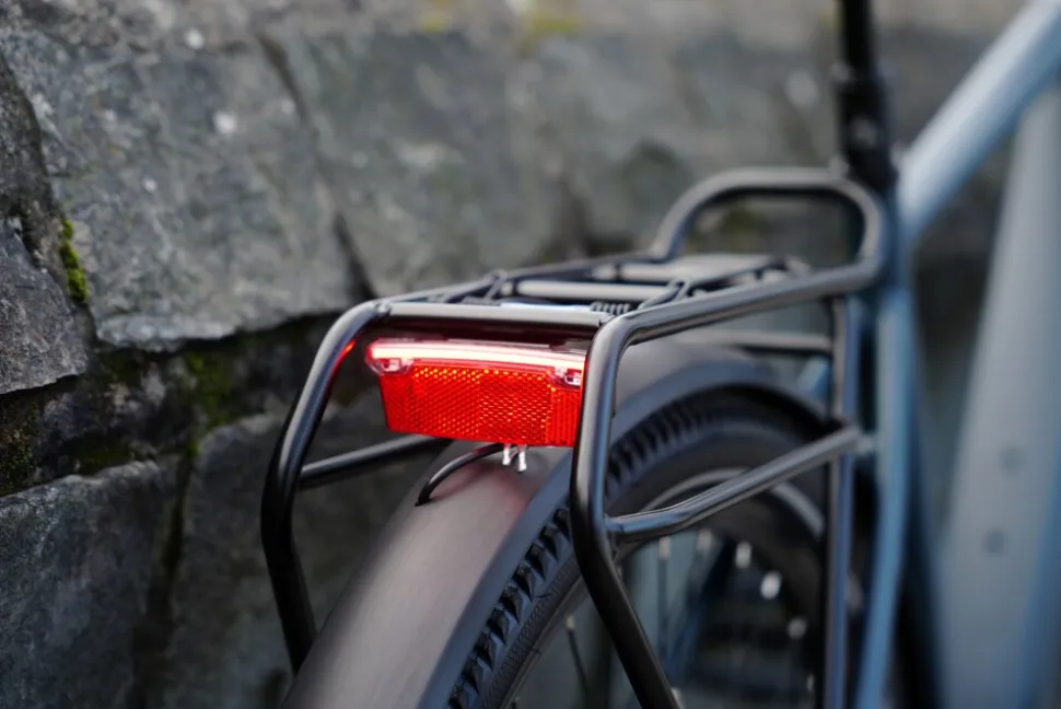 Prophete E-Bike Entdecker 4.8 RH50
