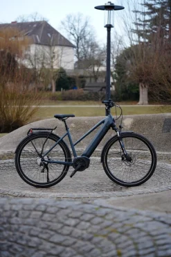 Prophete E-Bike Entdecker 4.8 RH50