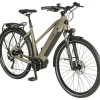 Prophete E-Bike Entdecker 3.0 Trekking 28" Trapez