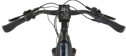 Prophete E-Bike Geniesser 6.0 City 28