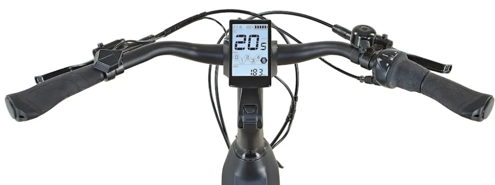 Prophete E-Bike Geniesser 4.0 City 28"