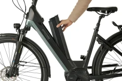 Prophete E-Bike Geniesser 4.0 City 28