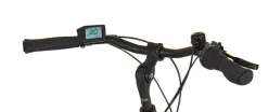 Prophete E-Bike Geniesser 3.8 RH48