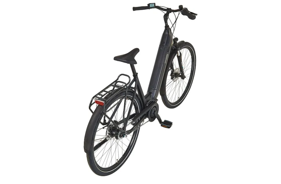 Prophete E-Bike Geniesser 3.8 RH48
