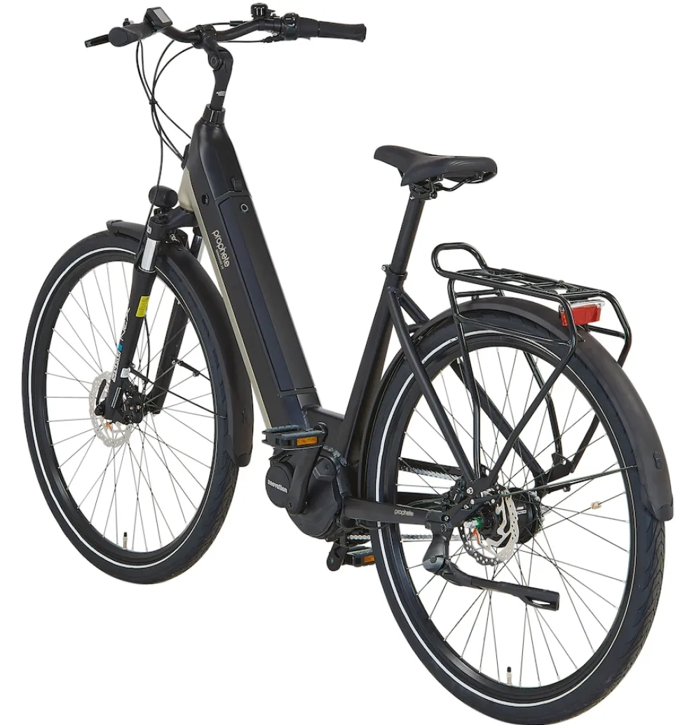 Prophete E-Bike Geniesser 3.8 RH48
