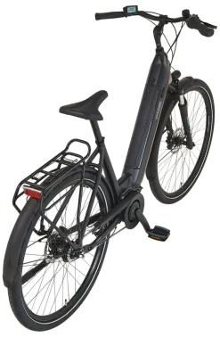 Prophete E-Bike Geniesser 3.8 RH48