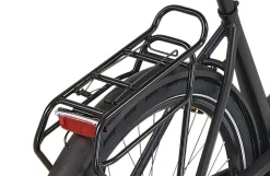 Prophete E-Bike Geniesser 3.8 RH48