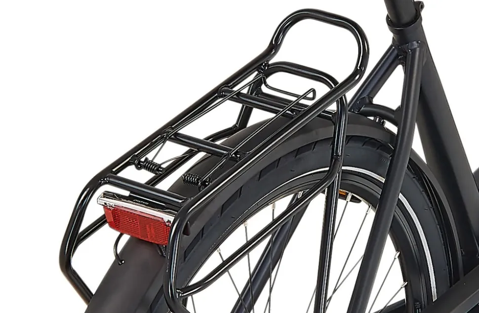 Prophete E-Bike Geniesser 3.8 RH48