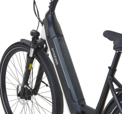 Prophete E-Bike Geniesser 4.8 RH48