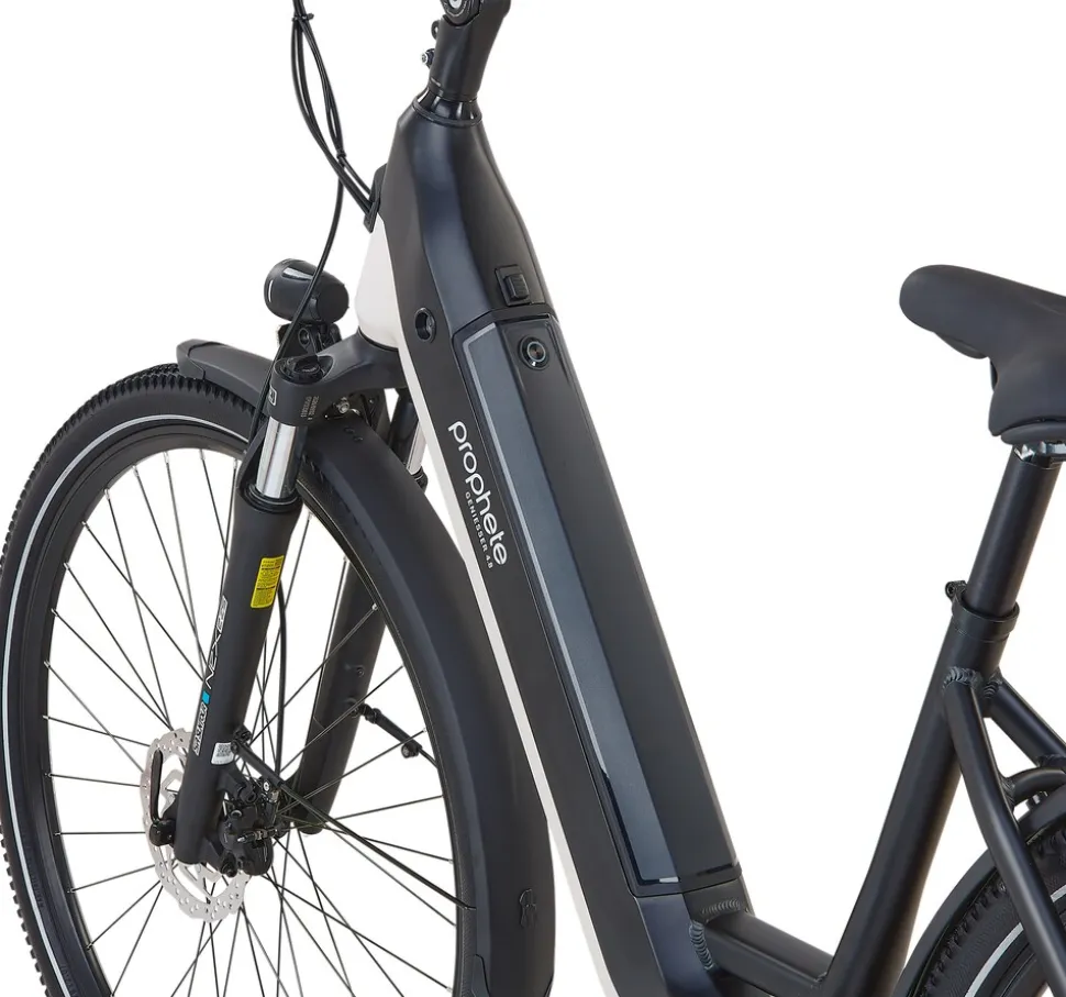 Prophete E-Bike Geniesser 4.8 RH48