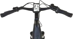 Prophete E-Bike Geniesser 4.8 RH48