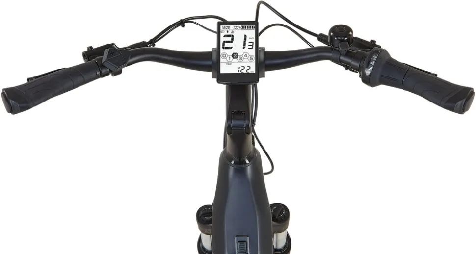 Prophete E-Bike Geniesser 4.8 RH48